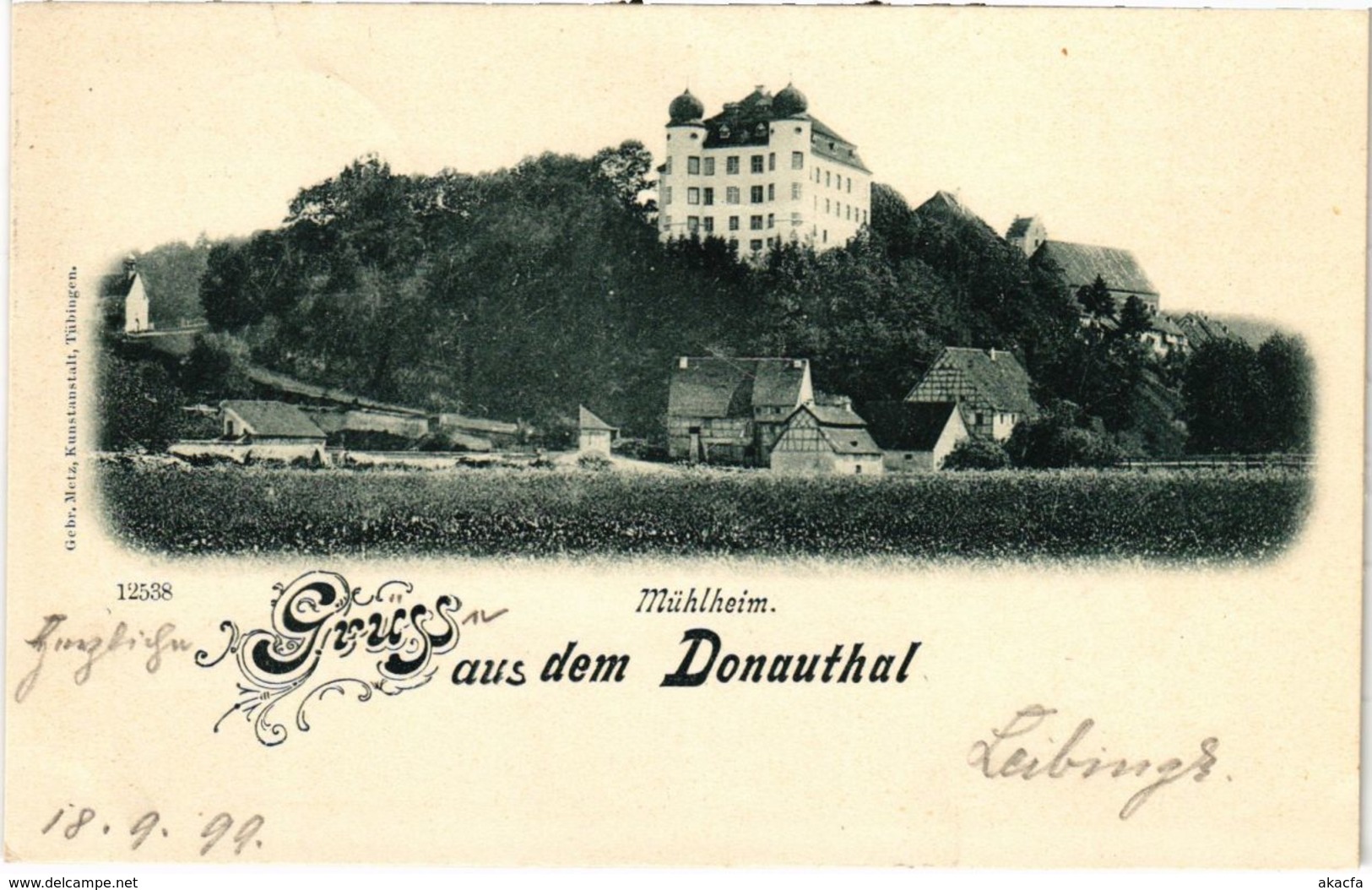 CPA AK Muhlheim Gruss Aus Dem Donauthal (922571) - Muellheim