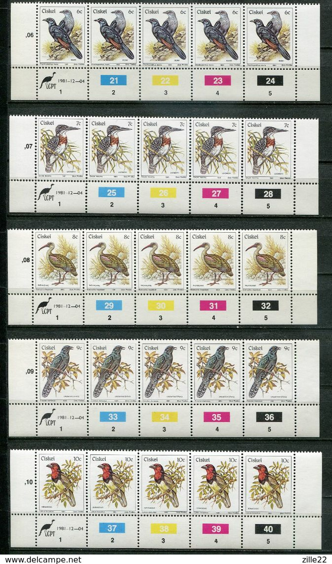 Ciskei Mi# 5-21 Zylinderstreifen Postfrisch/MNH Controls - Fauna Birds - Transkei