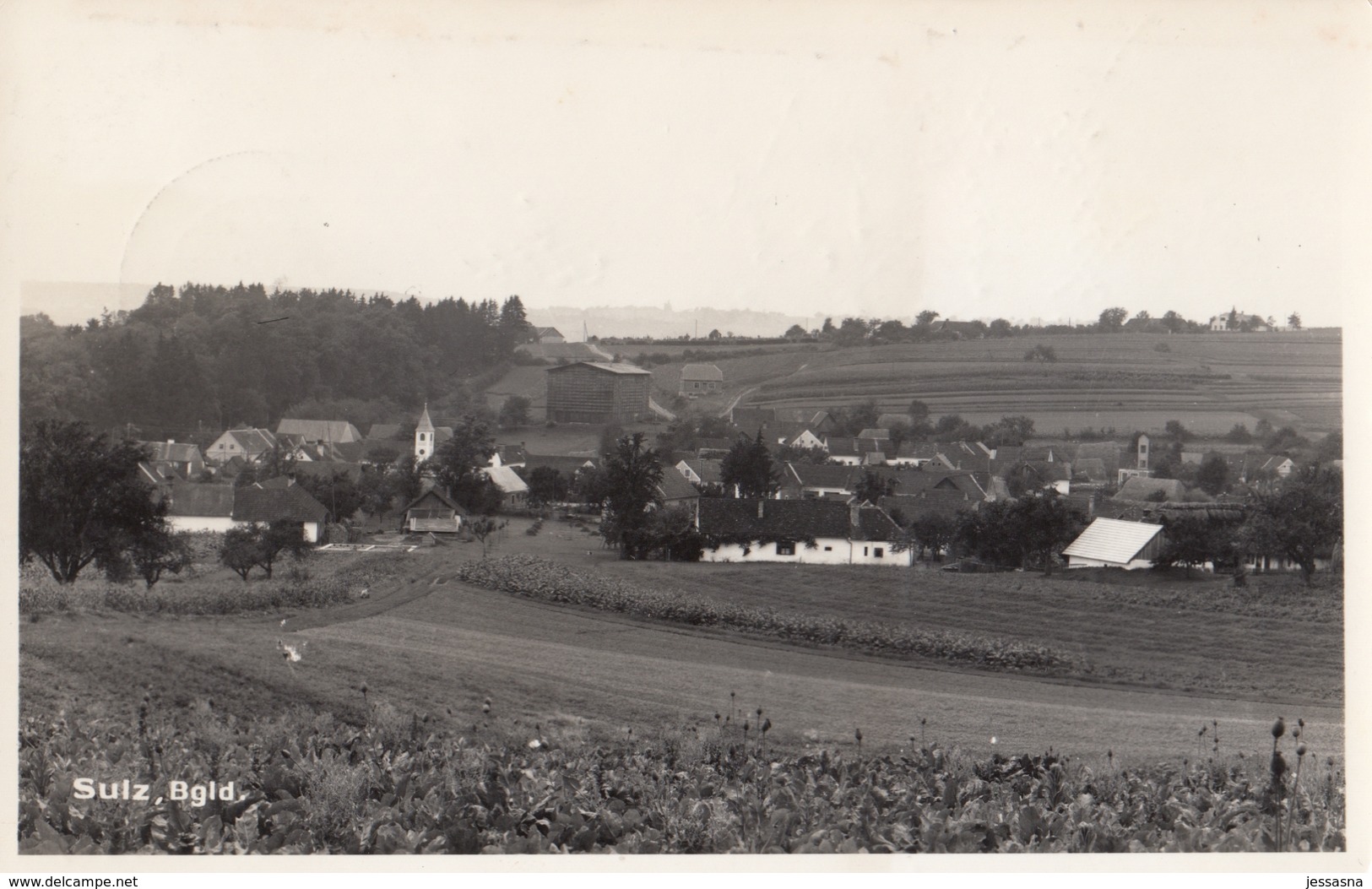 AK - SULZ (Seskut) Im Burgenland - Gesamtansicht 1956 - Güssing