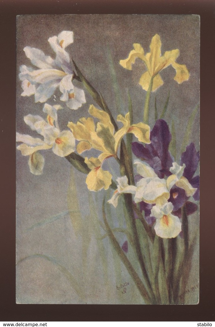 FLEURS - IRIS - EDITEUR RAPHAEL TUCK - Sonstige & Ohne Zuordnung