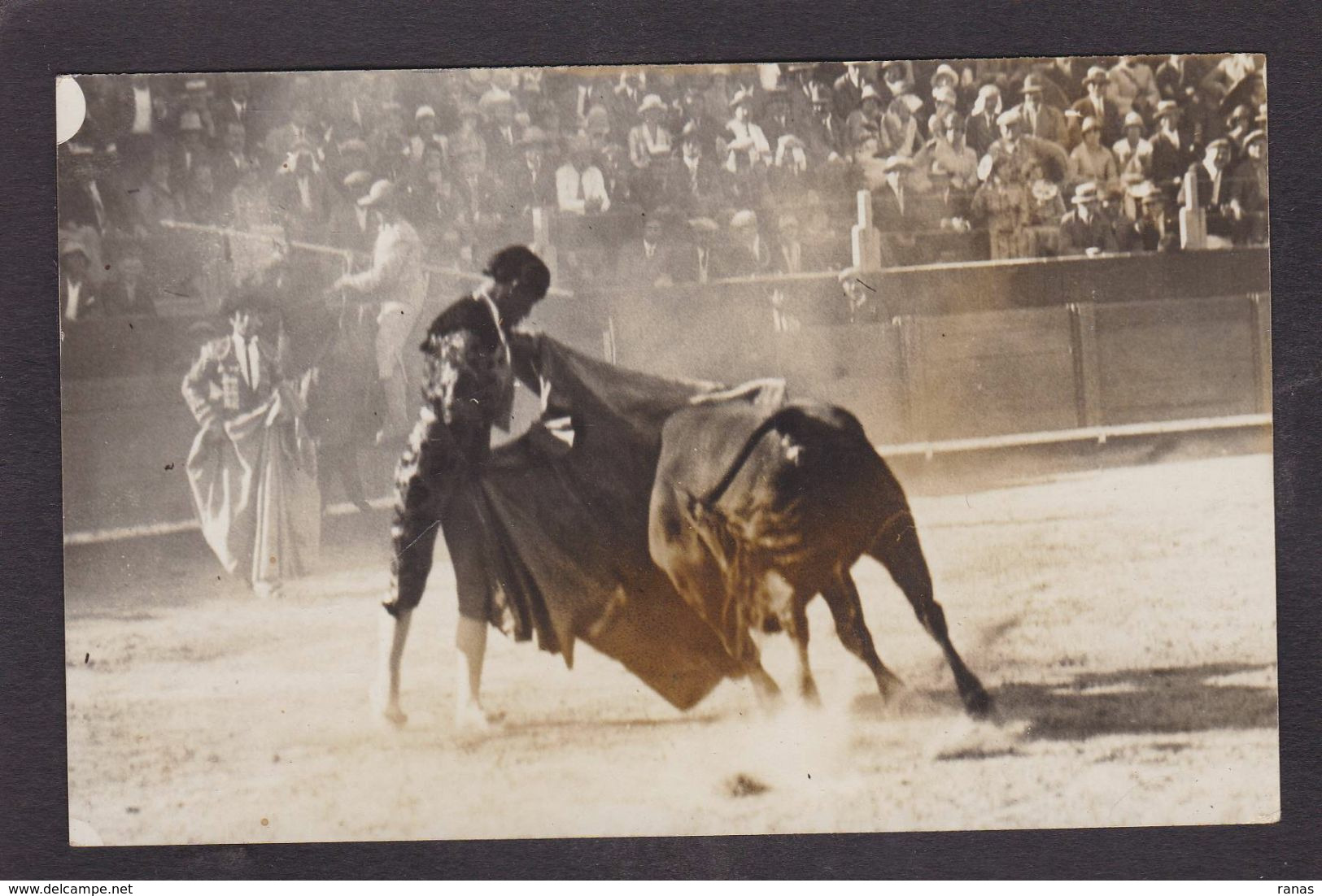 CPA Pyrénées Orientales 66 Perpignan Taureau Corrida Tauromachie Carte Photo Non Circulé Voir Scan Du Dos - Perpignan