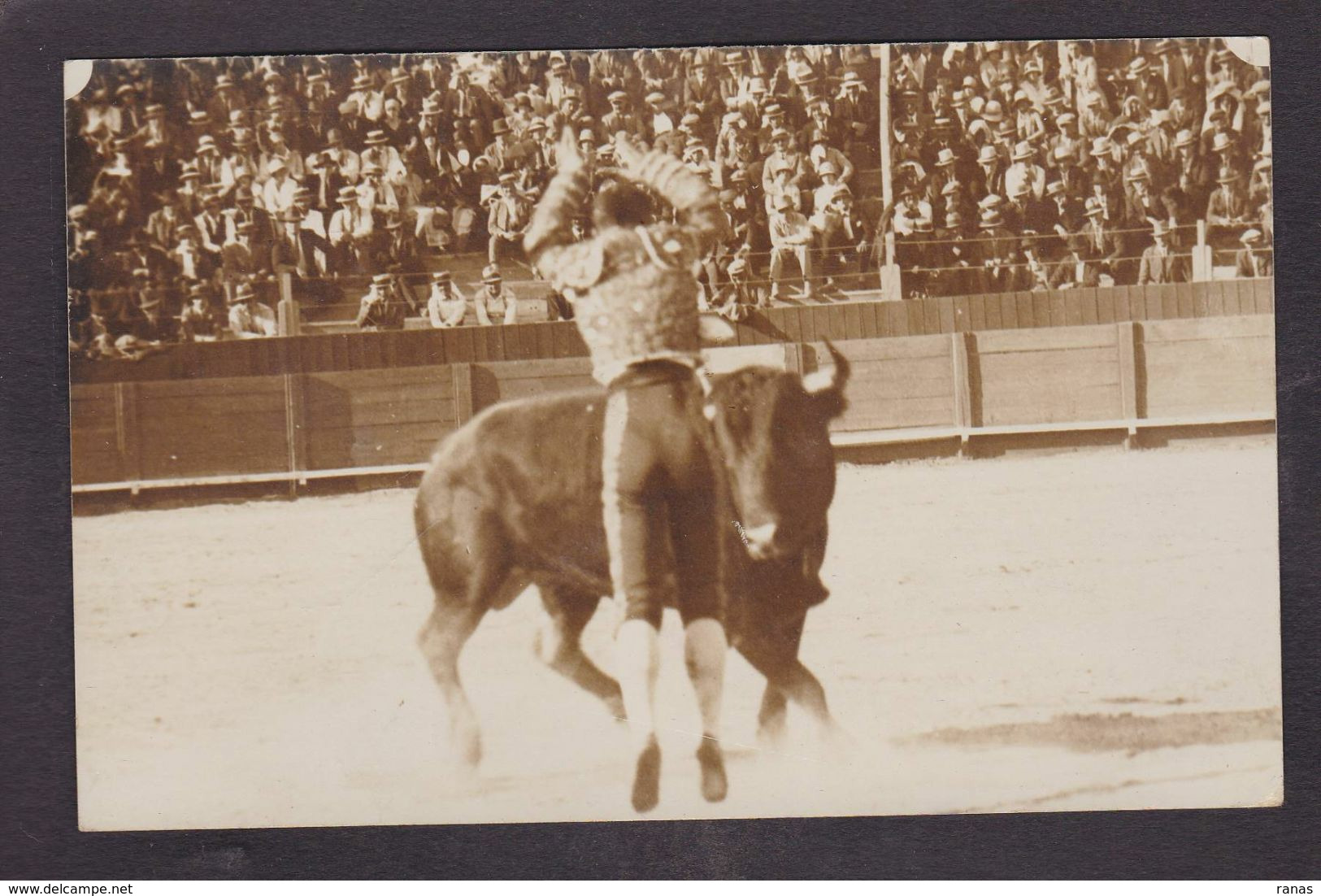 CPA Pyrénées Orientales 66 Perpignan Taureau Corrida Tauromachie Carte Photo Non Circulé Voir Scan Du Dos - Perpignan