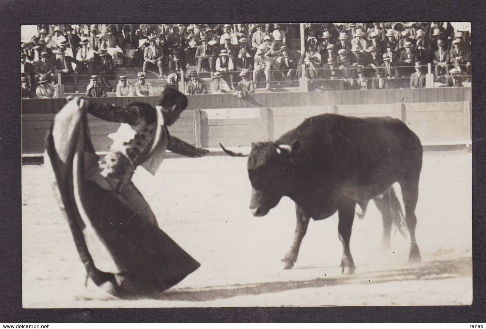 CPA Pyrénées Orientales 66 Perpignan Taureau Corrida Tauromachie Carte Photo Non Circulé Voir Scan Du Dos - Perpignan