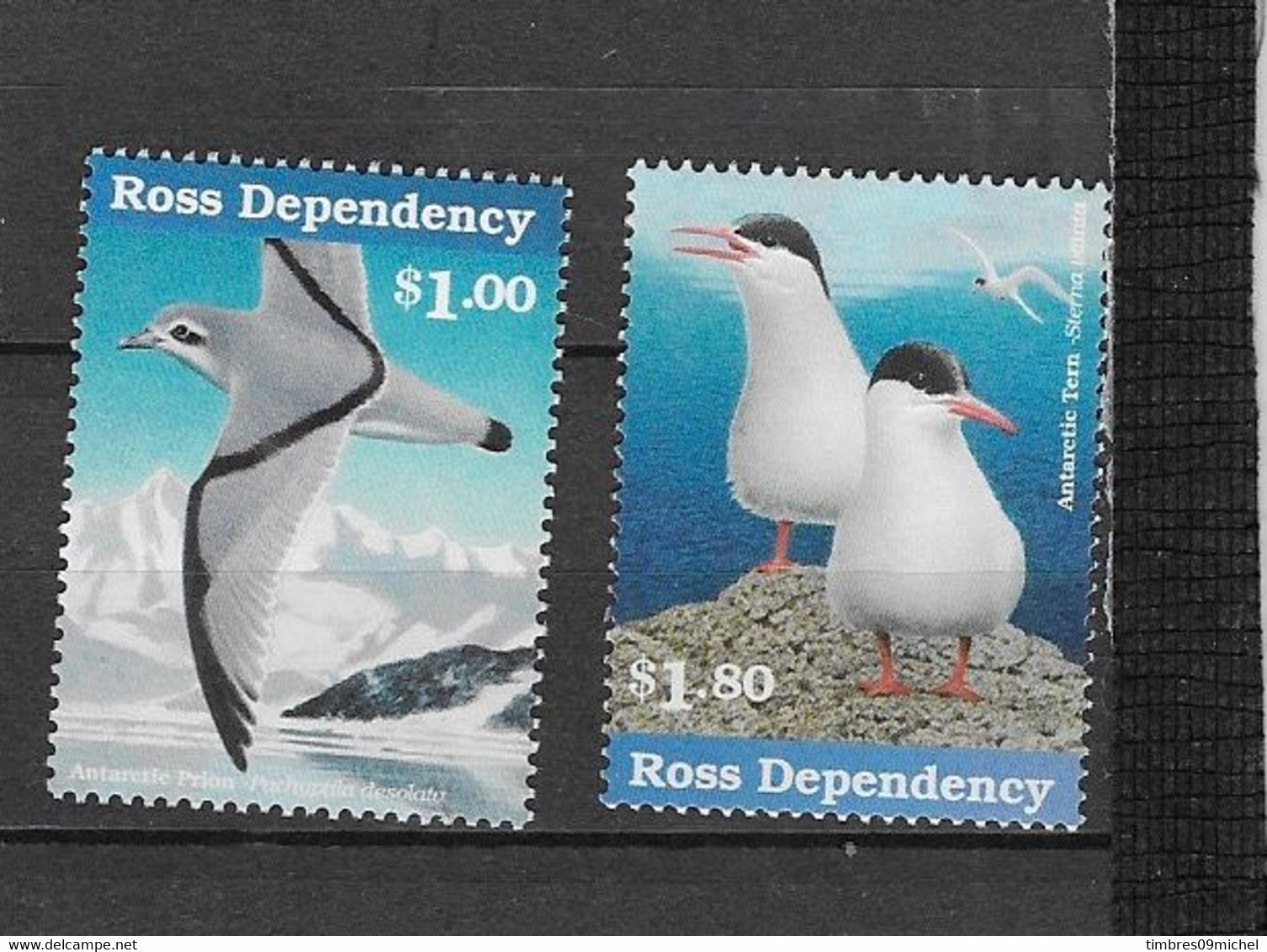 Dépendance De Ross (Nouvelle Zélande) N° 52-55** Faunes Oiseaux De Mer - Ongebruikt