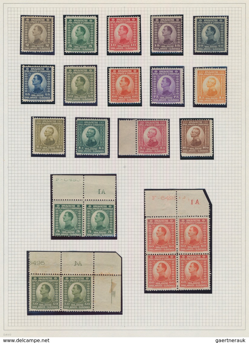 Jugoslawien: 1921, Definitives "Kraljevstvo", Specialised Collection On Album Pages, Showing The Com - Gebraucht