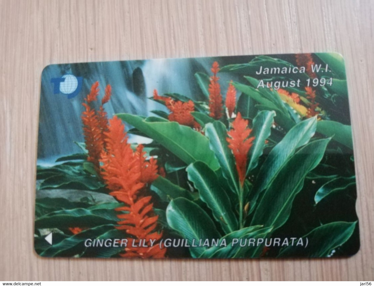 JAMAICA  J$200-  GPT CARD   GINGER LILY   CONTROL NR: NO NUMBER /BLANC    Fine Used Card  **3240** - Giamaica