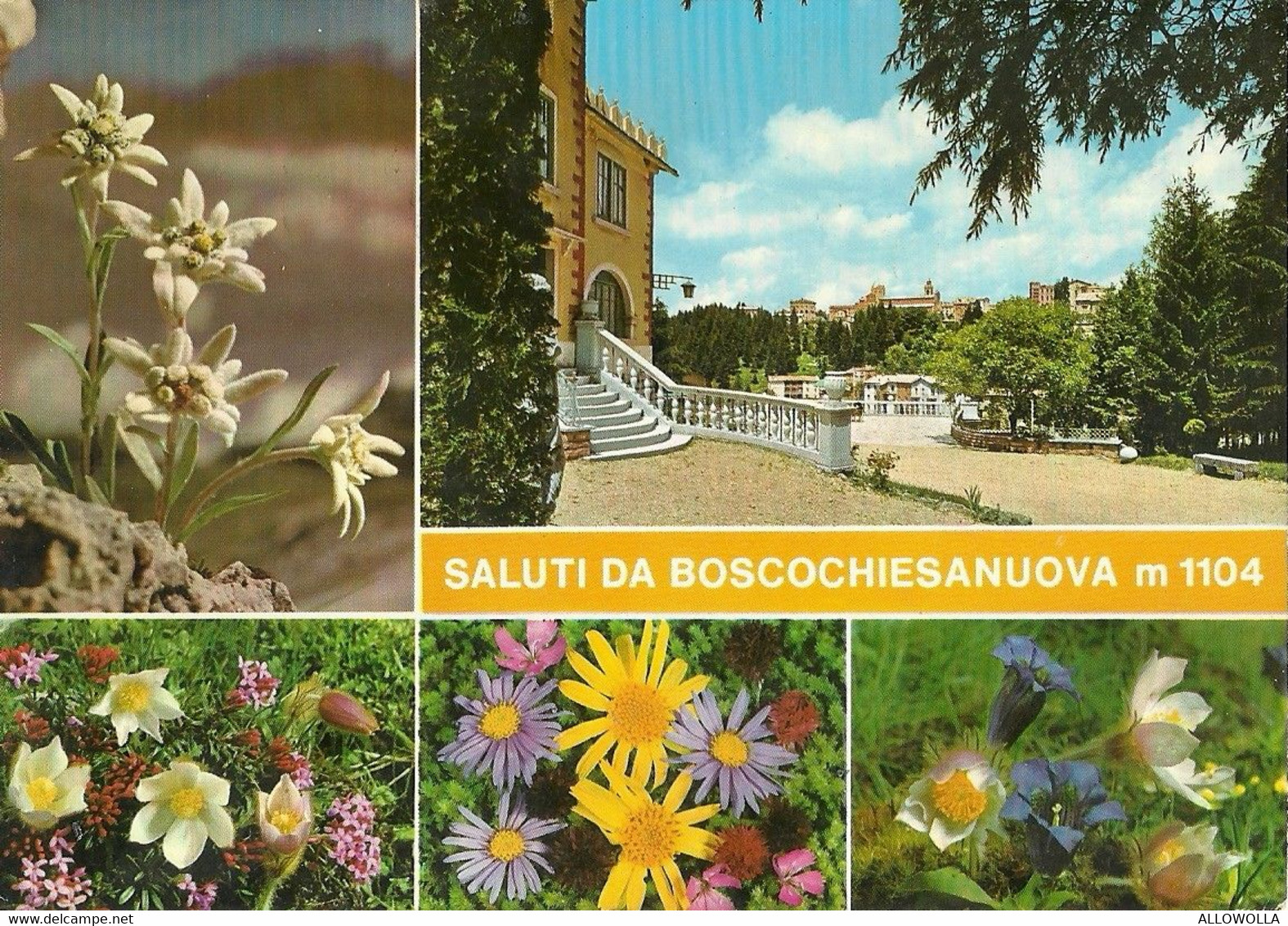 9169 " SALUTI DA BOSCOCHIESANUOVA M. 1104 " 1 VEDUTE + 4 FLOREALI   - CARTOLINA POSTALE  ORIGINALE SPEDITA 1967 - Souvenir De...