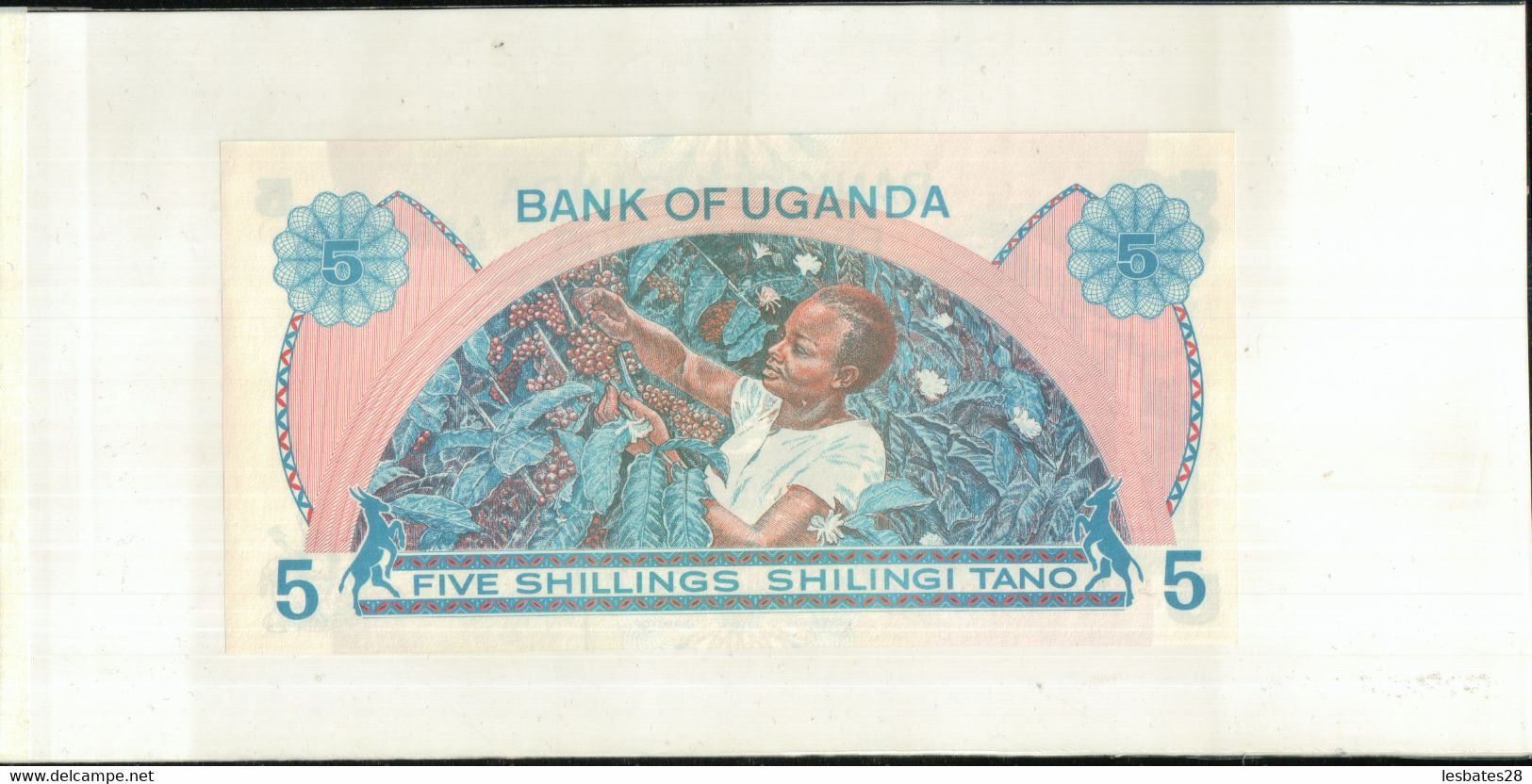 Billet Banque OUGANDA 5 Shillings  1979  TTB+  Sept 2020  Clas Noir 18 - Ouganda