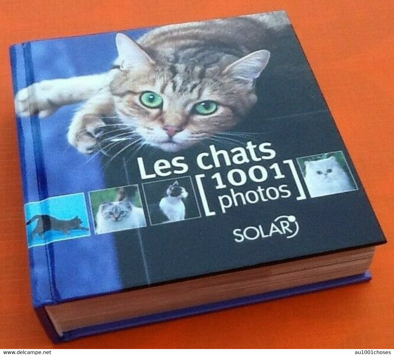 Les Chats  1001 Photos  (2006)    463 Pages Editions Solar - Animaux