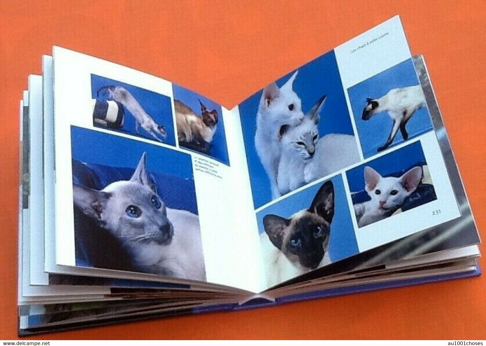 Les Chats  1001 Photos  (2006)    463 Pages Editions Solar - Animaux