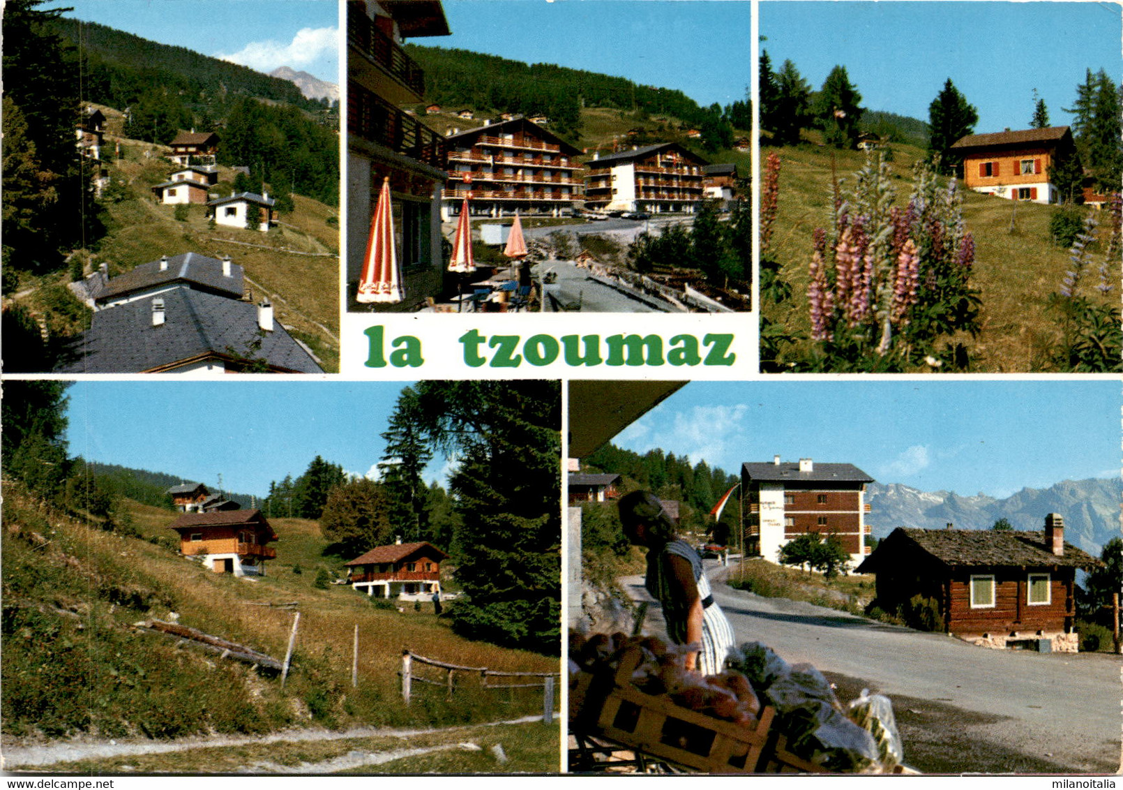 La Tzoumaz - Les Mayens-de-Riddes - 5 Bilder * 4. 8. 1977 - Riddes