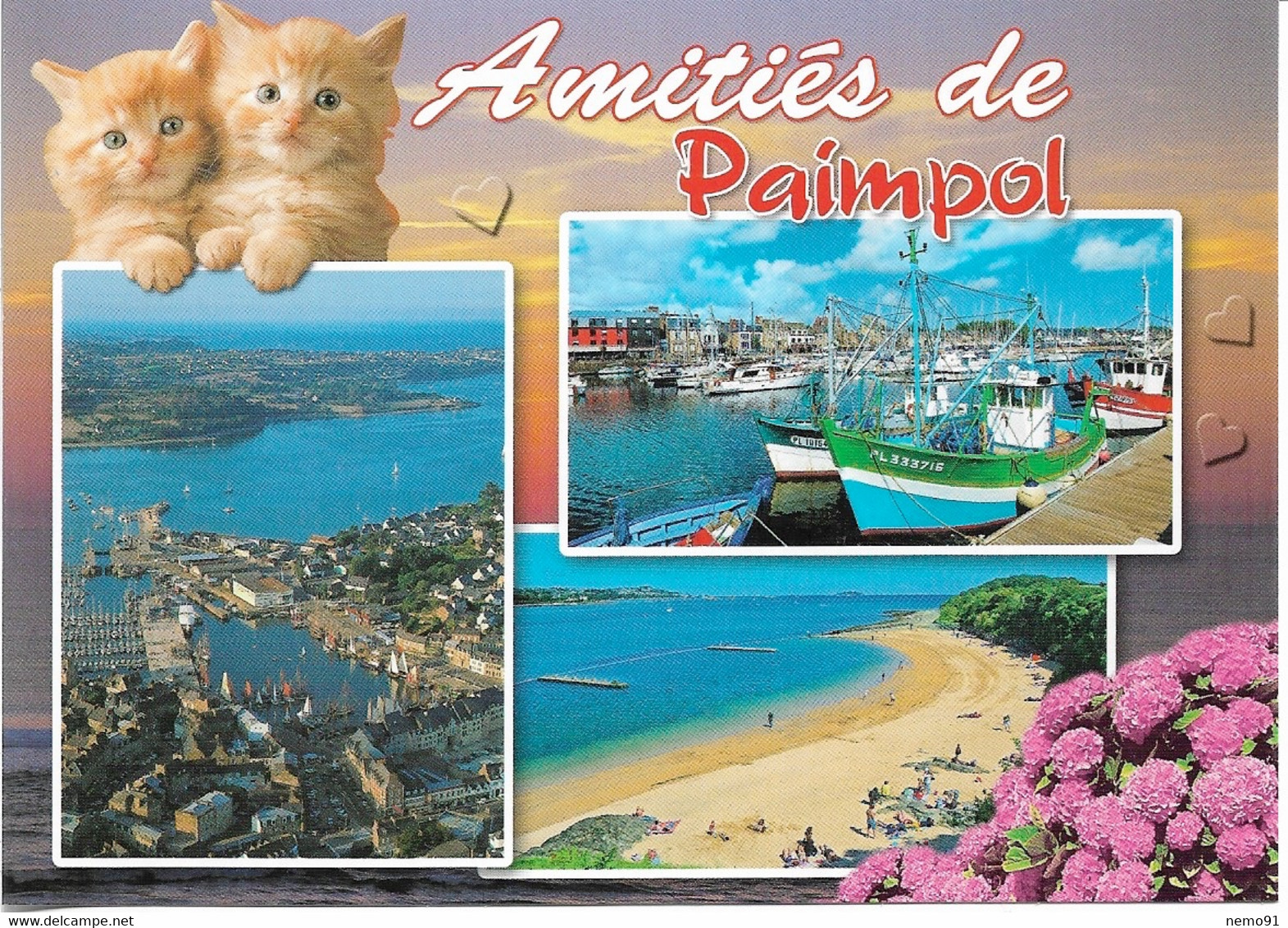 CHATS - 2 PETITS CHATONS - AMITIÉS DE PAIMPOL - 3 PETITES VUES - CPM - VIERGE - - Chats