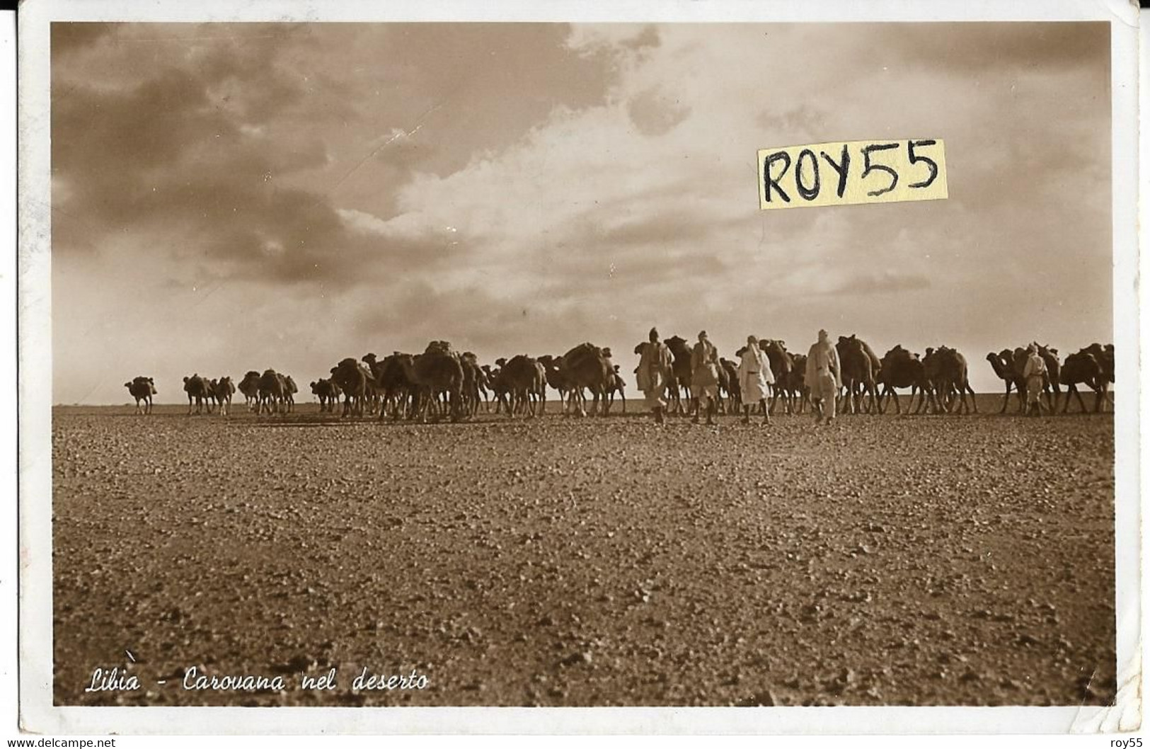 Colonie Italiane Colonia Italiana Libia Carovana Nel Deserto Di Cammelli E Dromedari Fine Anni 30 ( Picc./v.retro) - Libië