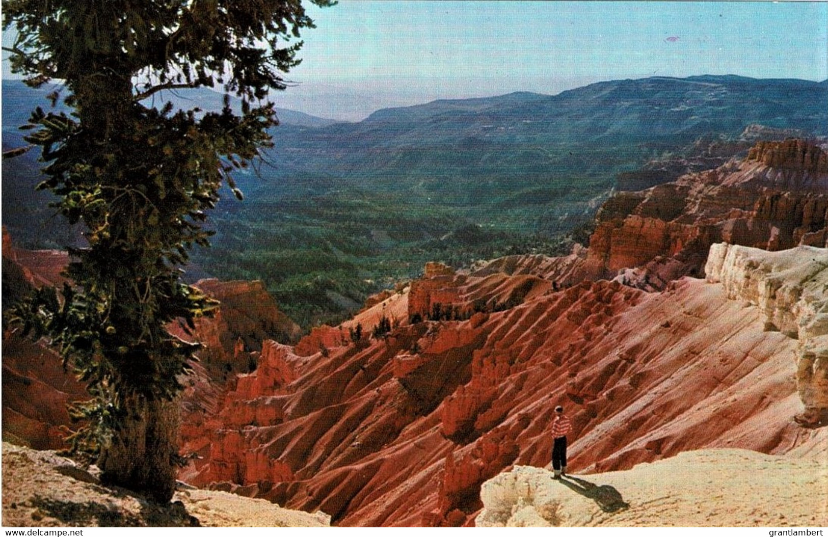 Cedar Breaks National Monument, Southern Utah, US - Unused - Monument Valley