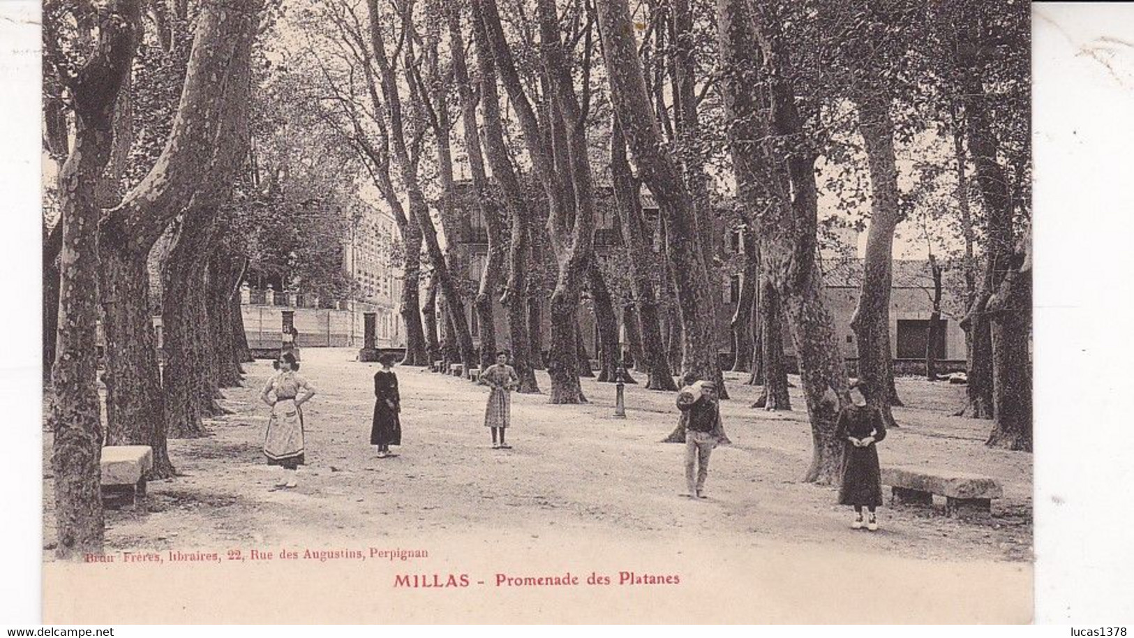 66 / MILLAS / PROMENADE DES PLATANES - Millas