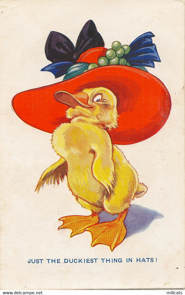 ANIMALS BIRDS DUCKS FASHION BONNET HUMOUR COMIC JUST THE DUCKIEST THING IN  HATS pu 1933