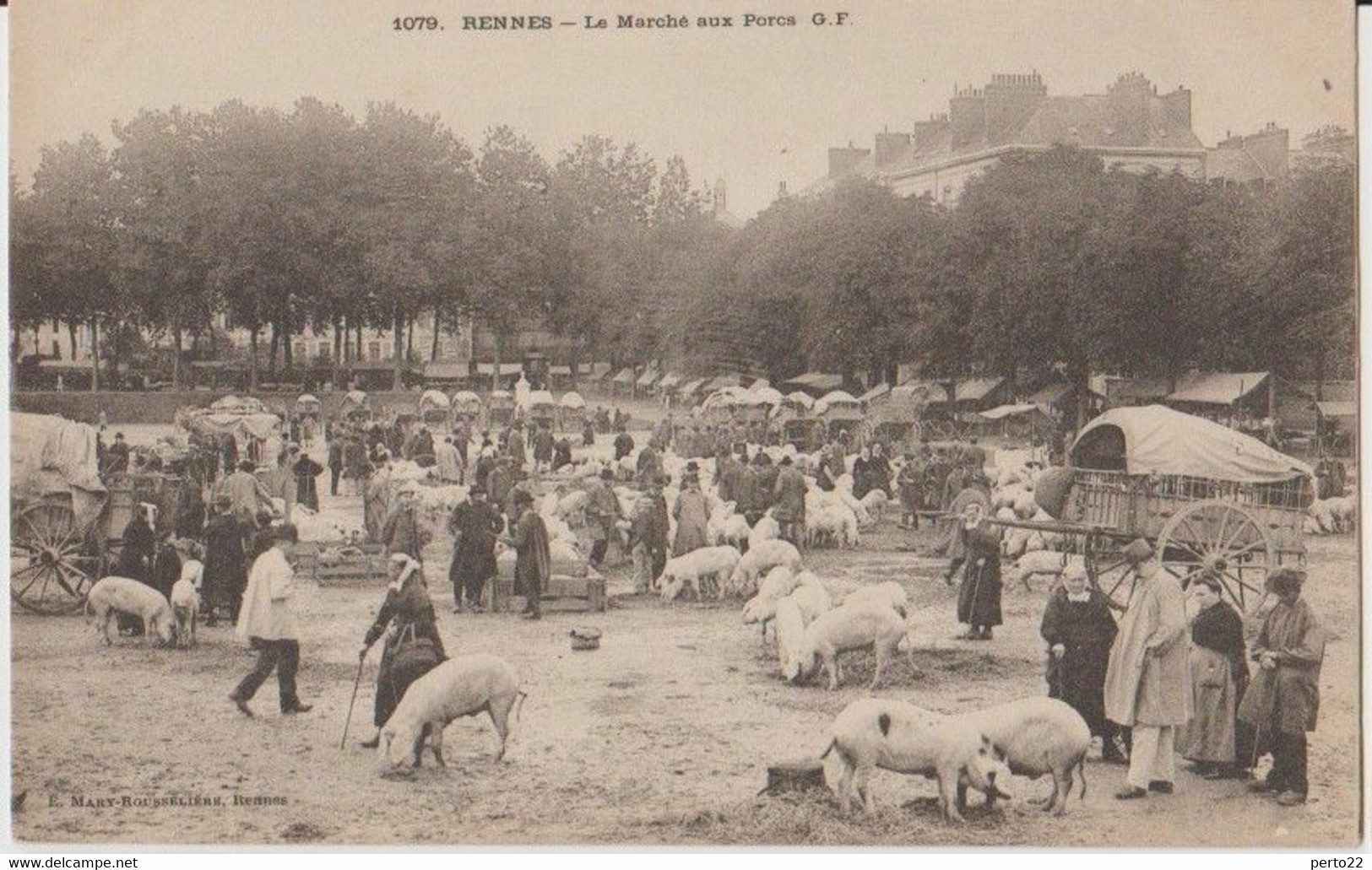 35 Rennes Marché Aux Porcs Superbe -s38 - Rennes