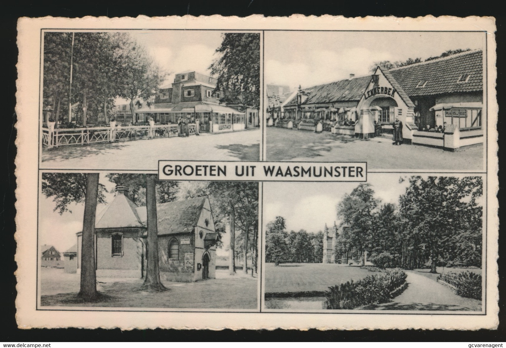 GROETEN UIT WAASMUNSTER - Waasmunster