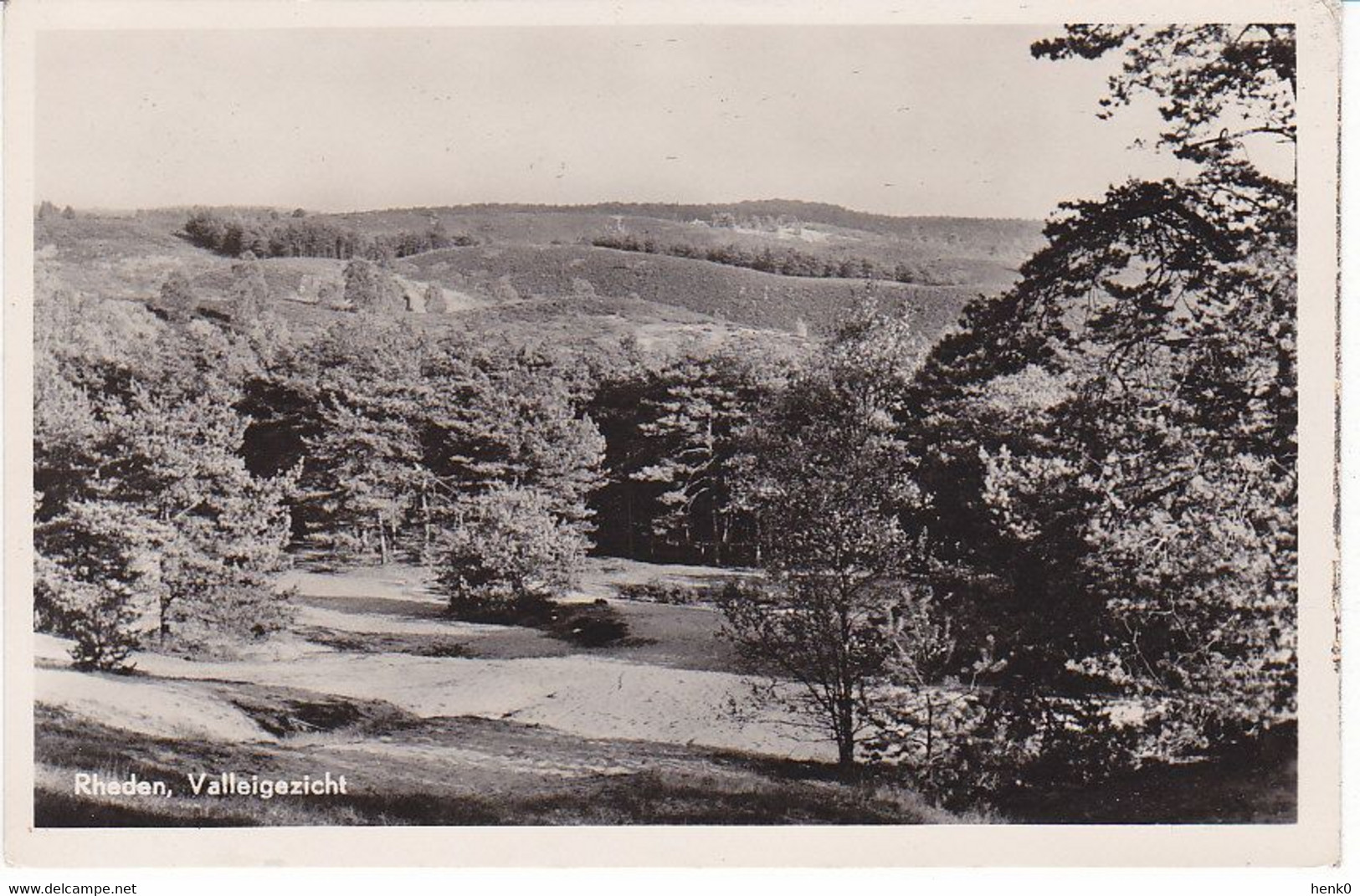 Rheden Valleigezicht Bossen PW165 - Rheden