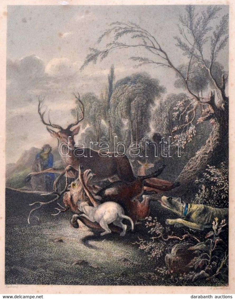 Carl Ruthart (1630-1703) - Alexander Carse (1770-1843): The Stag Hunt/Die Hirschjagd, Színezett Acélmetszet, üvegezett F - Stampe & Incisioni