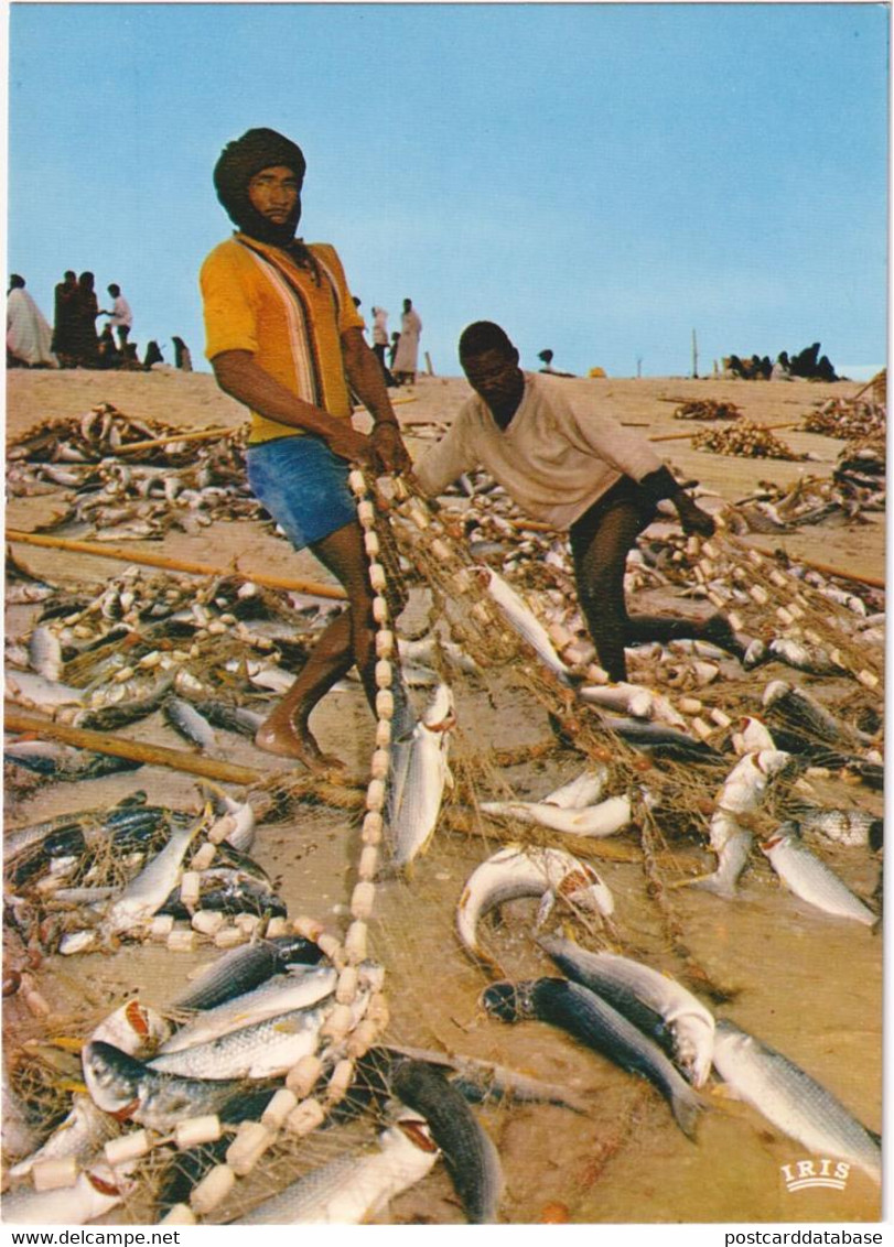 Republique Islamique De Mauretanie - Scène En Pêche - Mauritanie