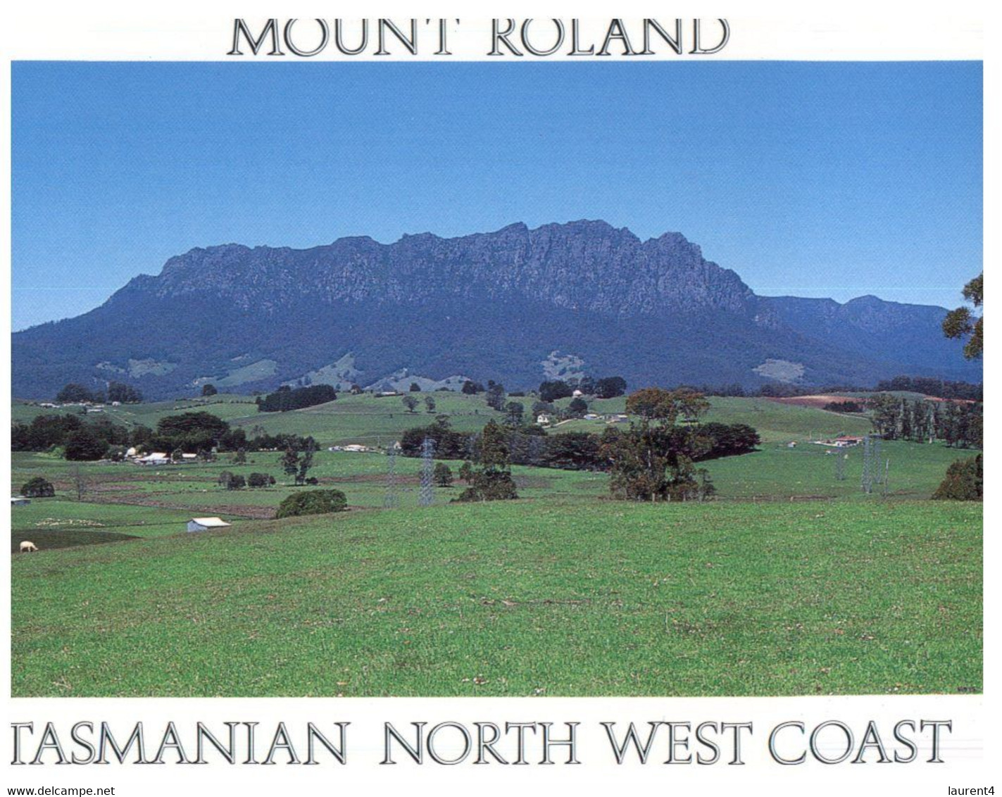 (O 13 B) Australia - TAS - Mt Roland - Wilderness