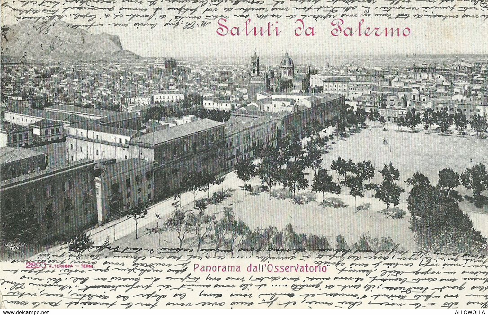 9207 "SALUTI DA PALERMO-PANORAMA DALL'OSSERVATORIO " - CARTOLINA POSTALE ORIGINALE SPEDITA 1904 - Souvenir De...