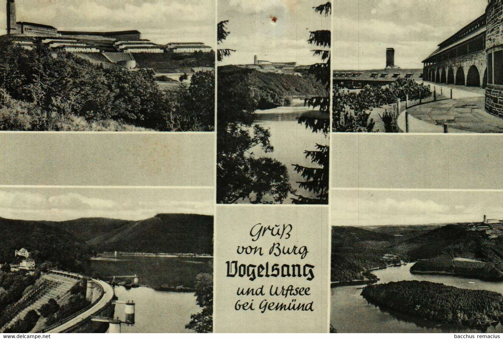 Gruss Von BURG VOGELSANG Und URFTSEE Bei GEMÜND - Schleiden