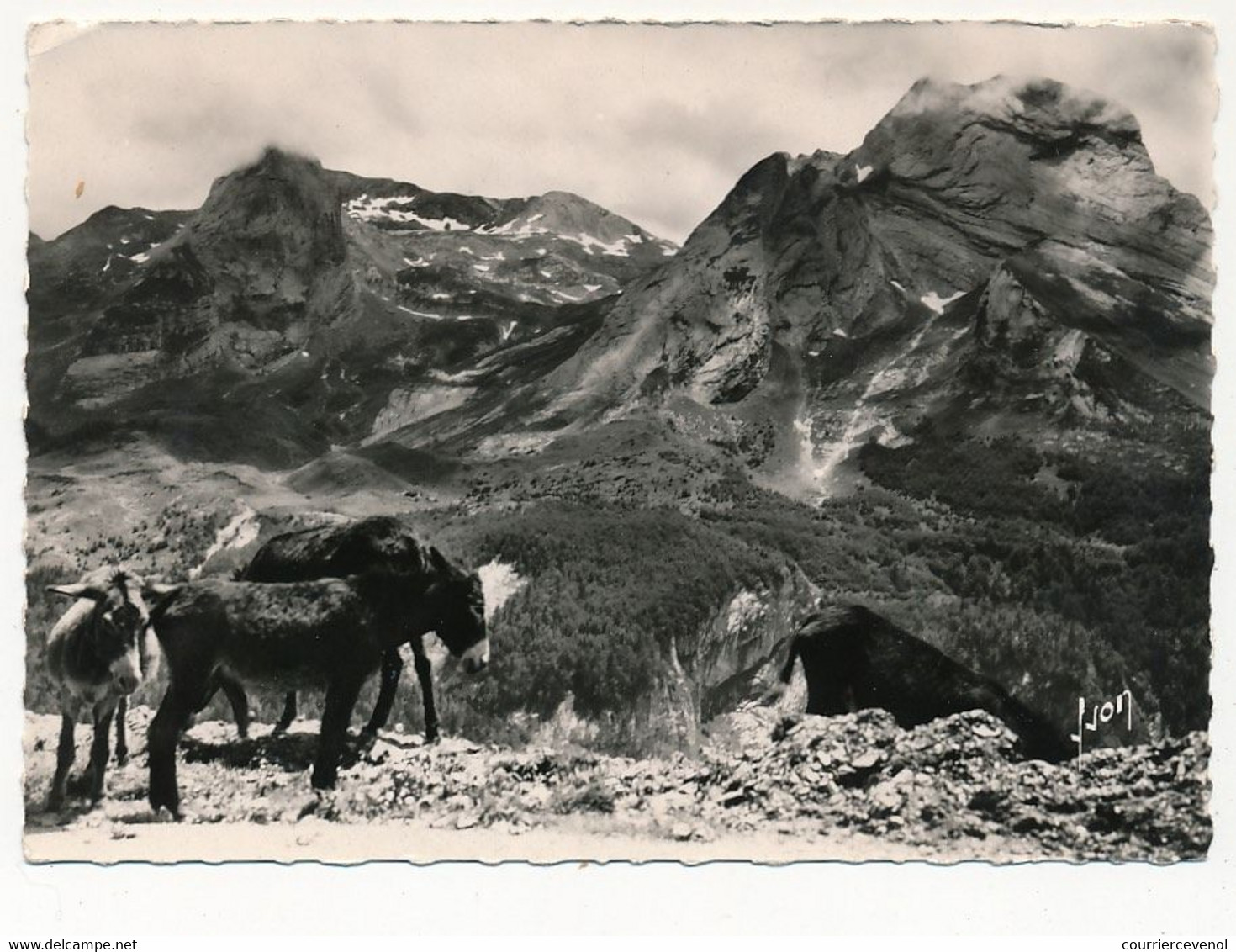 CPSM - COL D'AUBISQUE (Basses Pyrénées) - Route Thermale D'Argelès à Eaux-Bonnes - Altri & Non Classificati