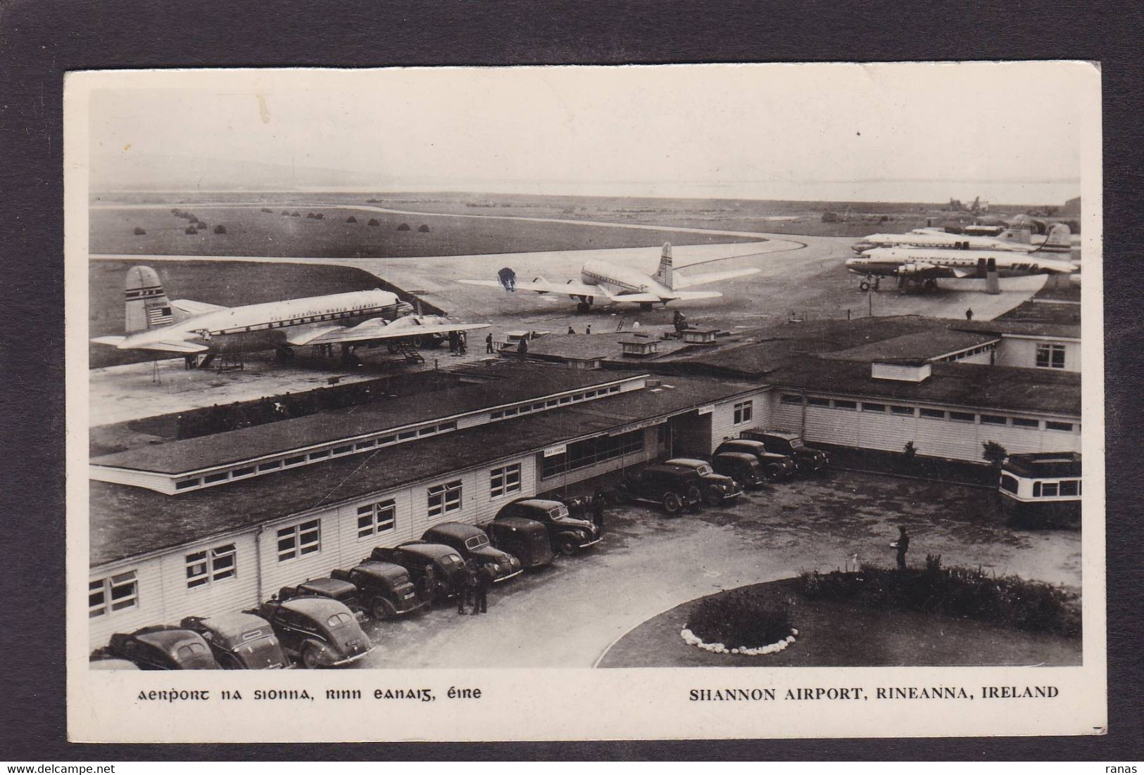 CPA Irlande Aéroport Airport Shannon Rineanna Ireland écrite - Other & Unclassified