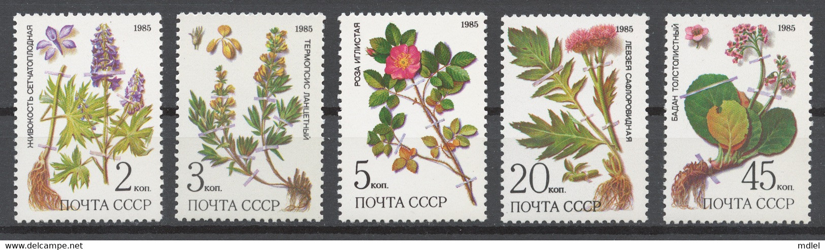 USSR 1985 Sol# 5649-53** MEDICINAL PLANTS - Ongebruikt