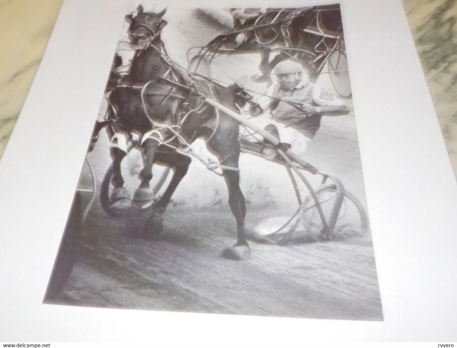 PHOTO COURSE DE TROT ATTELE AVEC DAVE DIETER 1987 - Equitation