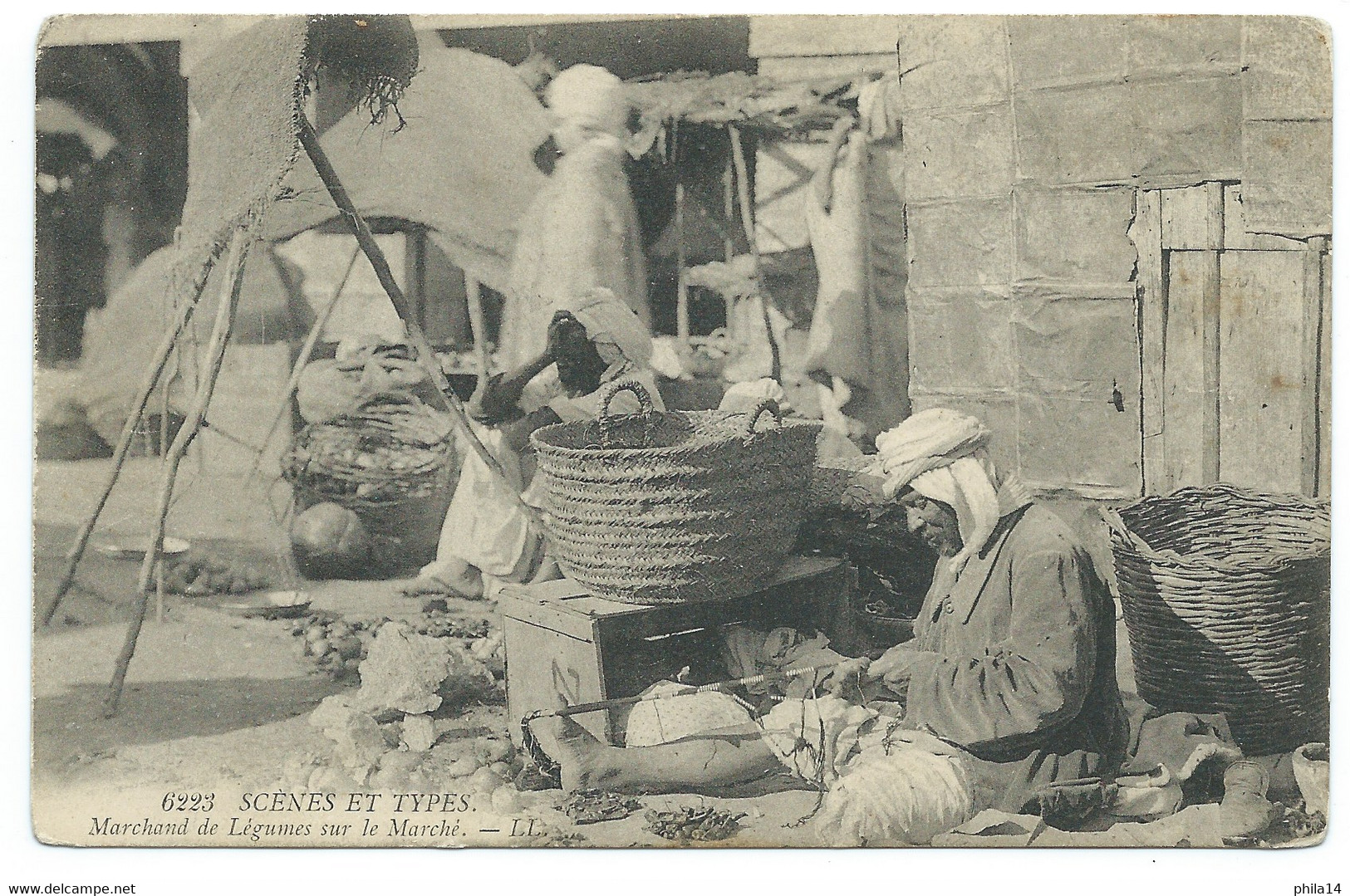 CPA ALGERIE / MARCHAND DE LEGUMES SUR LE MARCHE / NEUVE - Professions