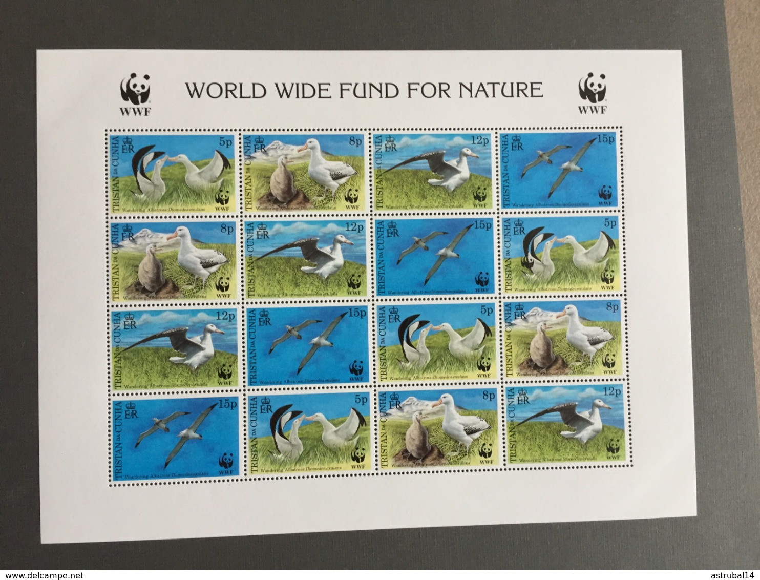 Lot De 20 Feuillets Et Blocs WWF MNH Neufs 1988-2009 - Verzamelingen & Reeksen