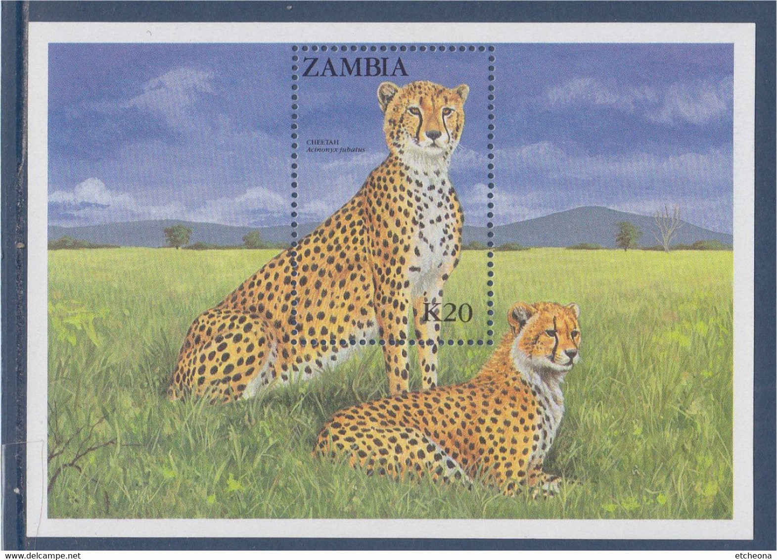 Bloc Neuf Zambie N°15 Félin D'Afrique, Cheetah, Timbre Dentelé - Zambia (1965-...)