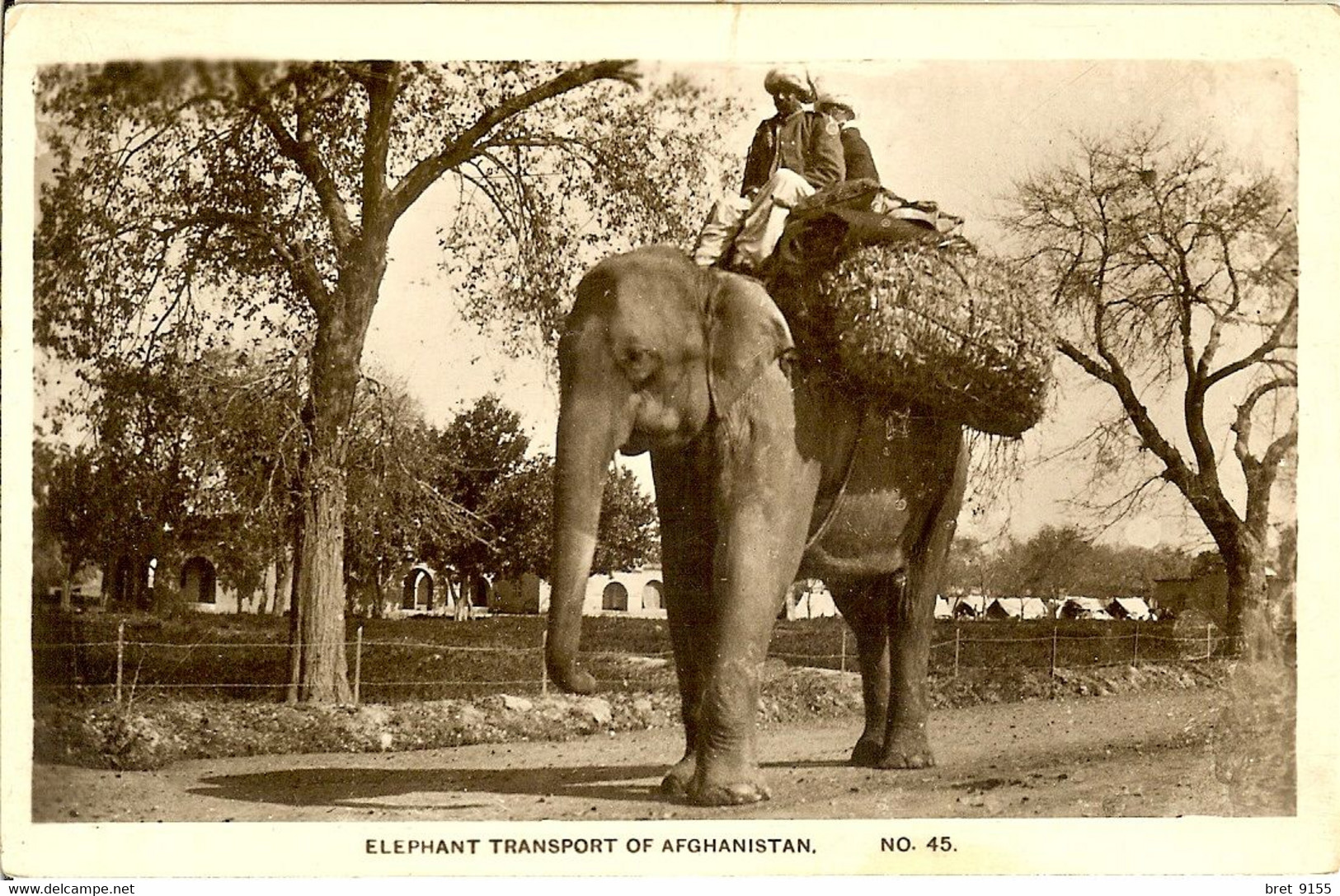 CARTE PHOTO LES ELEPHANTS SONT CHARGES DU TRANSPORT ELEPHANT TRANSPORT OF AFGHANISTAN - Afganistán