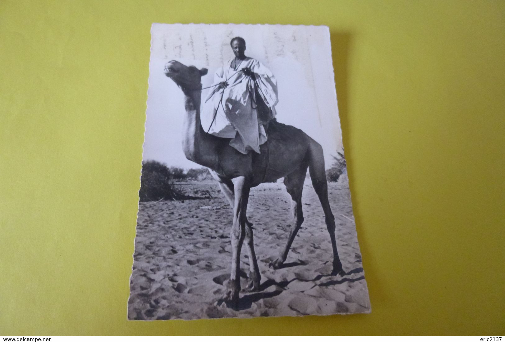 SOUVENIR DE LA MAURITANIE - Mauritania