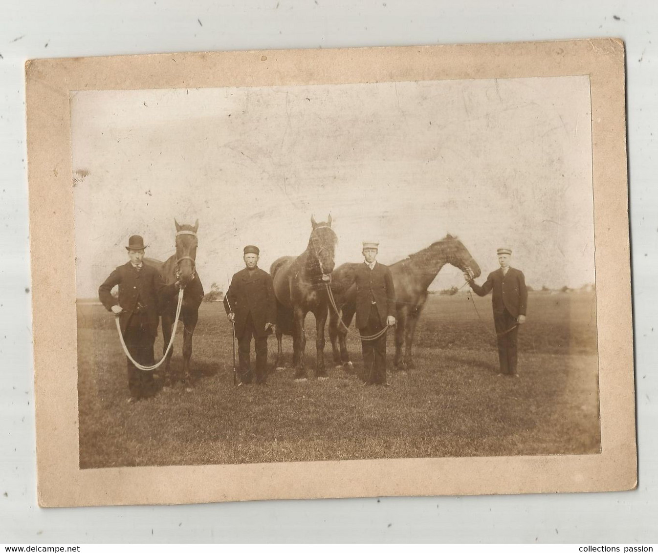 Photographie , 190 X 145 Mm,  Métier , éleveur De Chevaux , Cartonnée , Frais Fr 1.85 E - Métiers