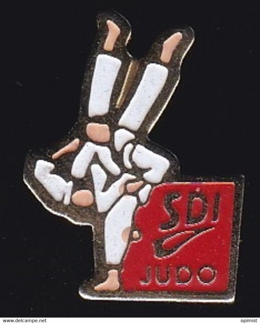 66910- Pin's.SDI.Judo. - Judo