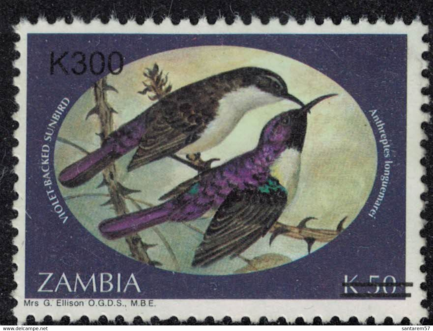 Zambie 2002 Used Surchargé Oiseaux Anthreptes Longuemarei Souimanga Violet - Zambia (1965-...)