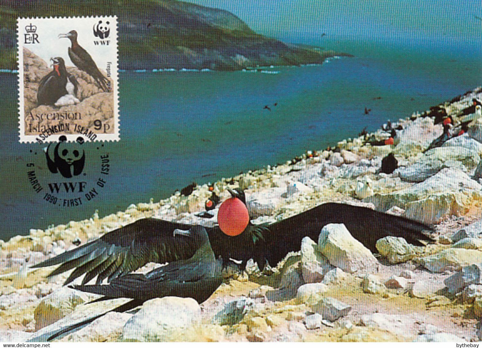 Ascension 1990 Maxicard Sc #483 9p Frigate Birds Family WWF - Ascension