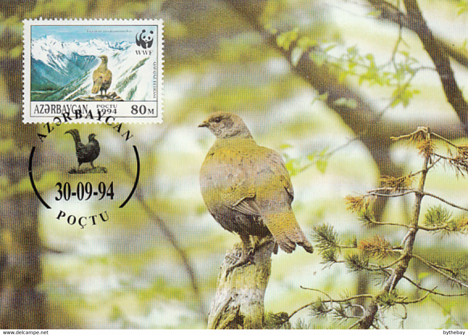 Azerbaijaan 1994 Maxicard Sc #454b 80m Caucasian Grouse Female On Cliff WWF - Azerbaïjan