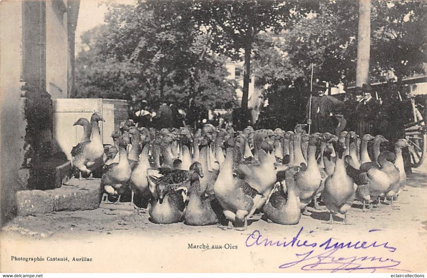 Non Localisé  . Cantal     15       Marché Aux Oies      (voir Scan) - Andere & Zonder Classificatie