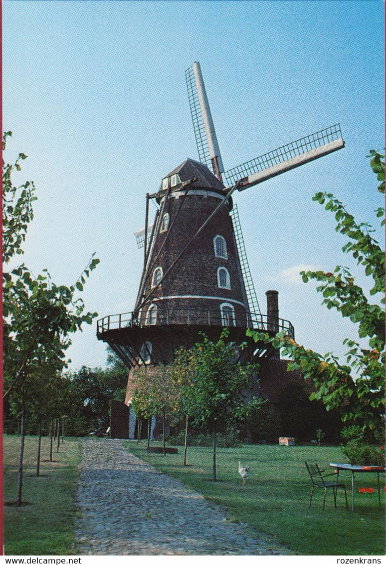 Sint-Pauwels Windmolen Roomanmolen Roomansmolen Sint Gillis Waas Waasland Moulin A Vent Windmill (In Zeer Goede Staat) - Sint-Gillis-Waas