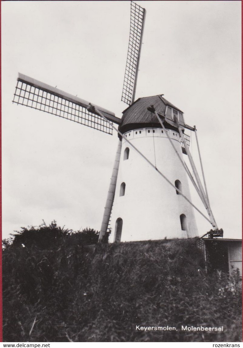 Molenbeersel Kinrooi Keyersmolen Keijersmolen Windmolen Windmill Moulin A Vent LIMBURG - Kinrooi