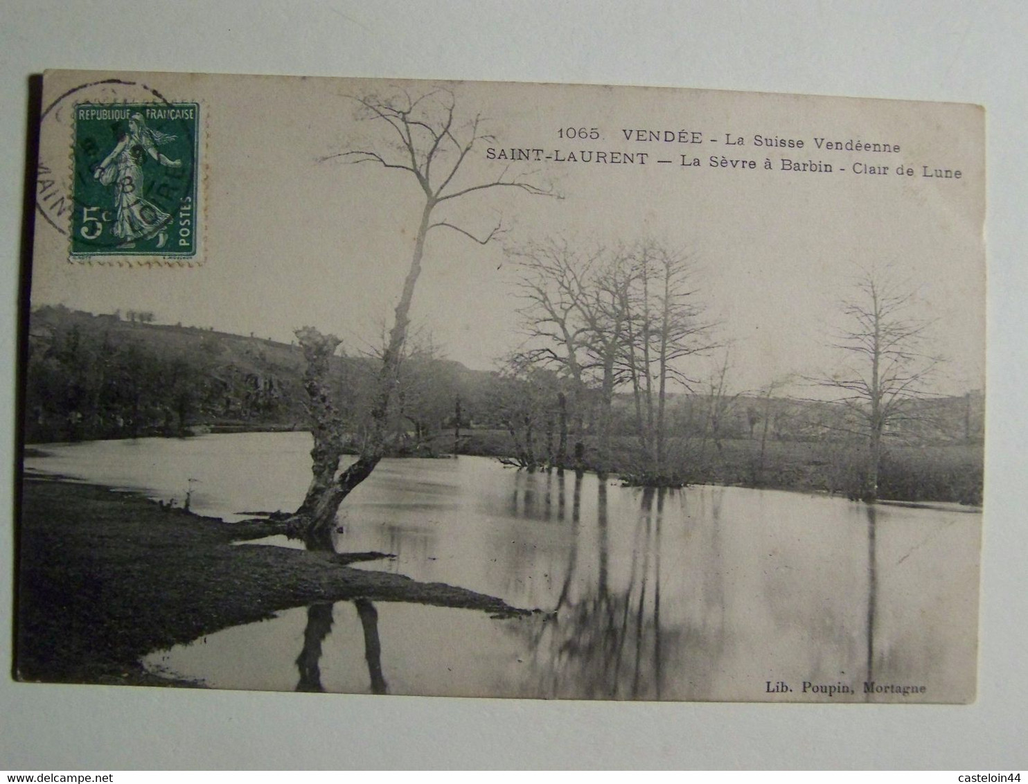 D85D SAINT LAURENT SUR SEVRE La Sevre à Barbin  Clair De Lune - Otros & Sin Clasificación