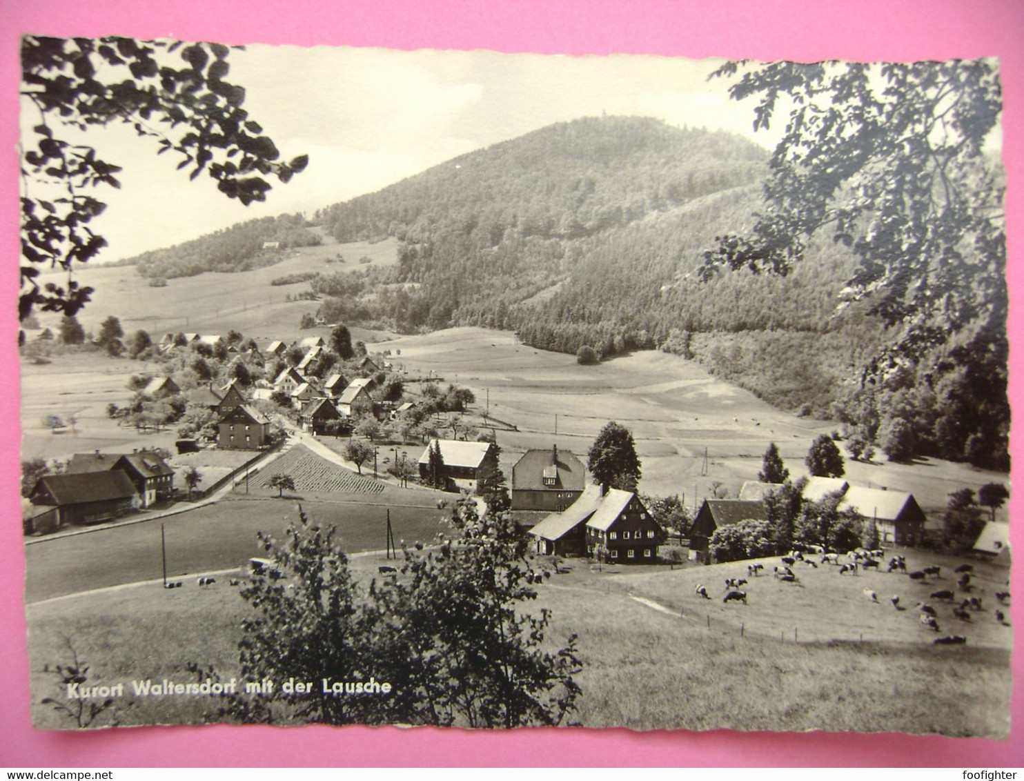 Germany: DDR - Kurort Waltersdorf Mit Der Lausche - Gesamtansicht - Posted 1963 - Grossschönau (Sachsen)