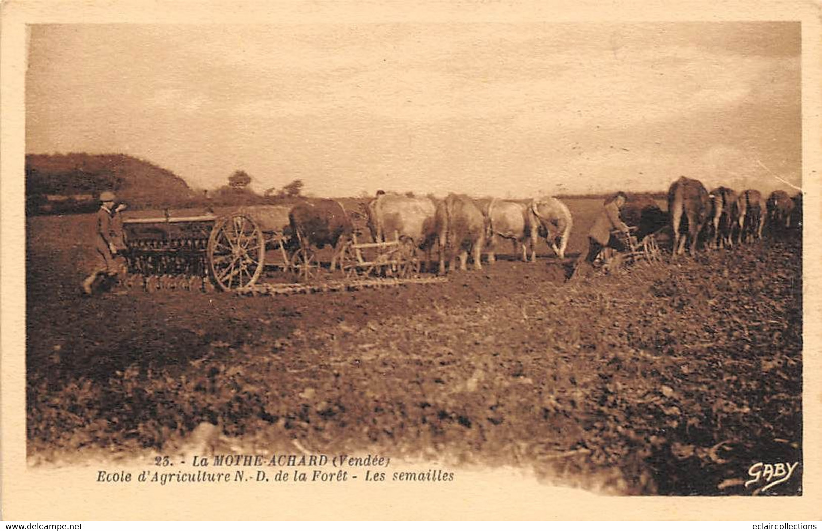 La Mothe Achard        85      Ecole D'Agriculture Les Semailles       (voir Scan) - La Mothe Achard