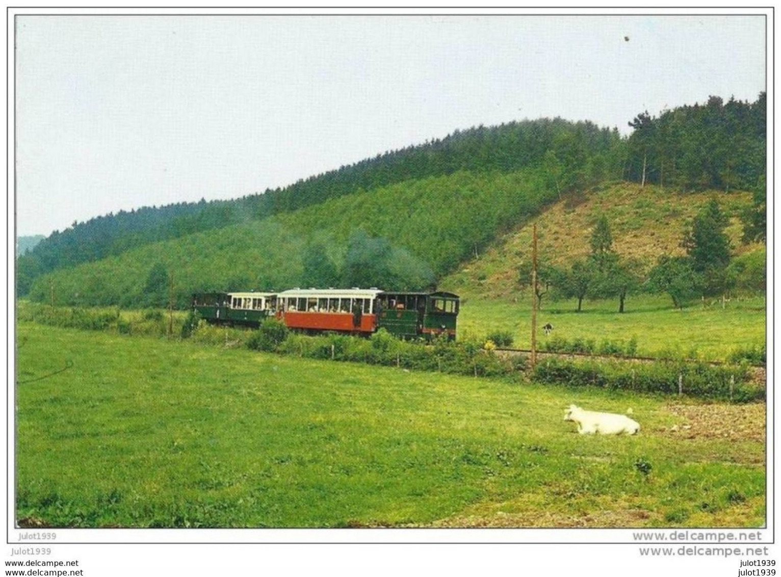 BLIER ..-- TRAM . EREZEE ..--  Flânerie Dans Les Prés . Ah La Vache !!! - Erezée