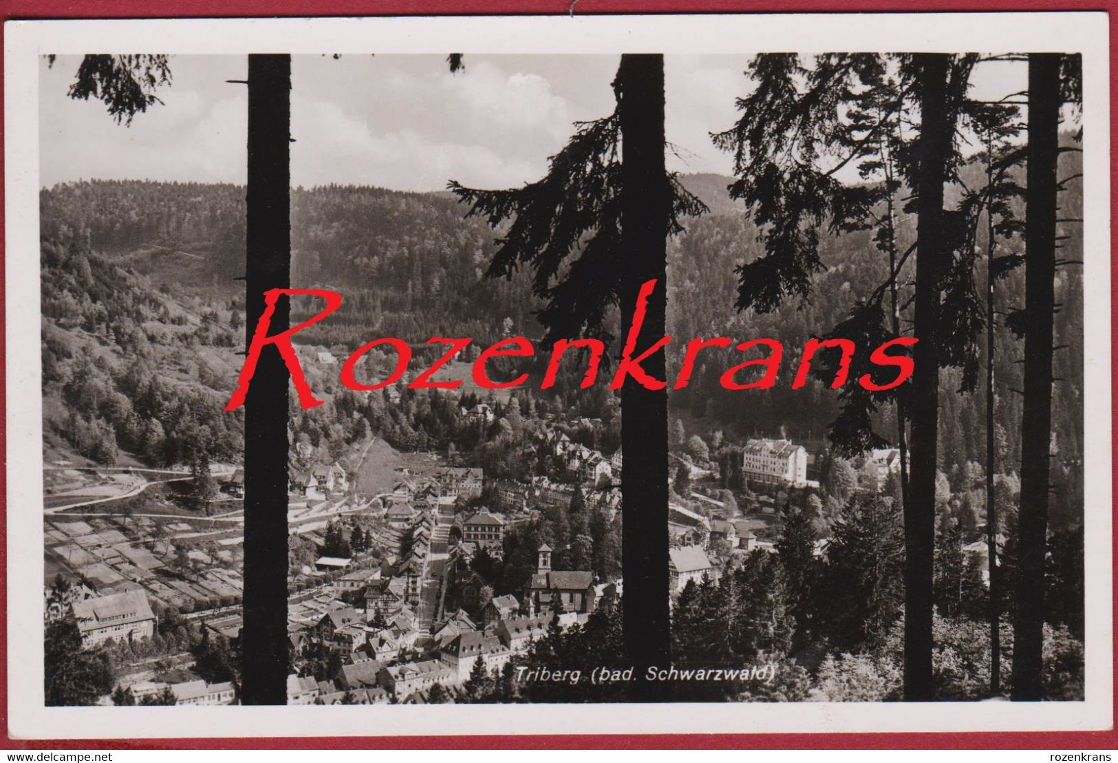 Blick Auf Triberg (Schwarzwald Baar Kreis)  Baden-Wuerttemberg - Triberg